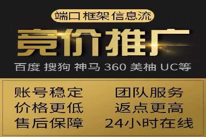 揭秘百度竞价代理：实战案例分析